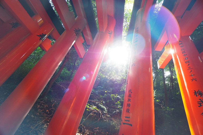 Fushimi Inari Shrine 伏見稻荷大社｜京都 Kyoto