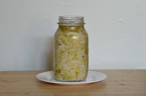 Lacto-fermenting Sauerkraut
