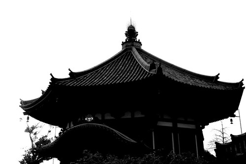 Kofuku-ji Temple and the area on NOV 30, 2016 (10)