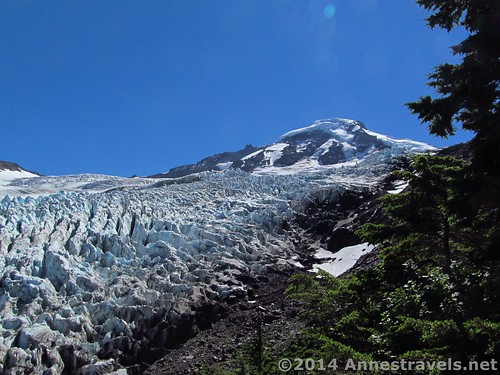 Coleman Glacier and Mt. Baker from Heliotrope Divide, Mt. Baker Wilderness, Washington