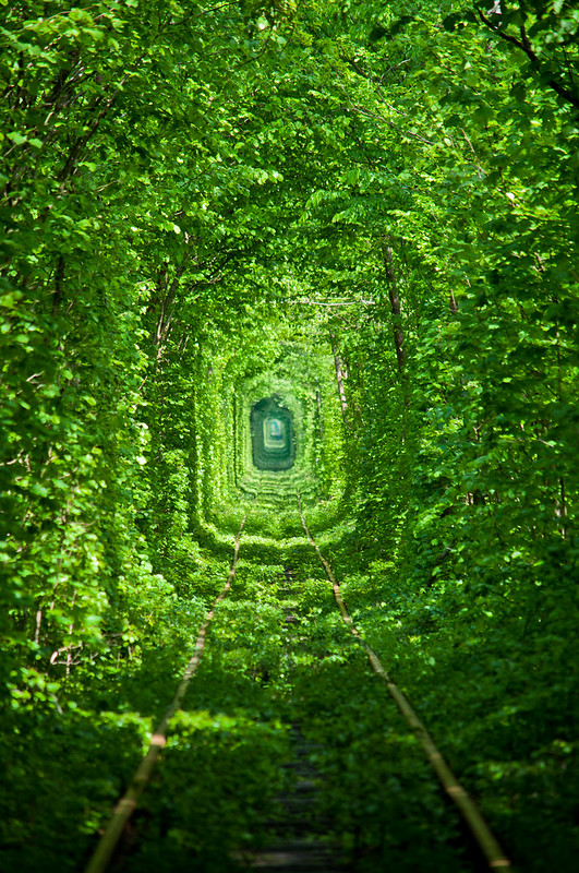 Tunnel of Love / Туннель любви