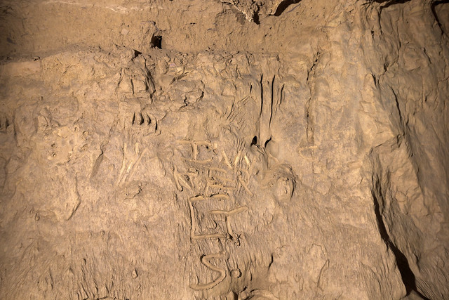 Bear claw marks, vandalism, Cripps Mill Cave, Dekalb County, Tennessee