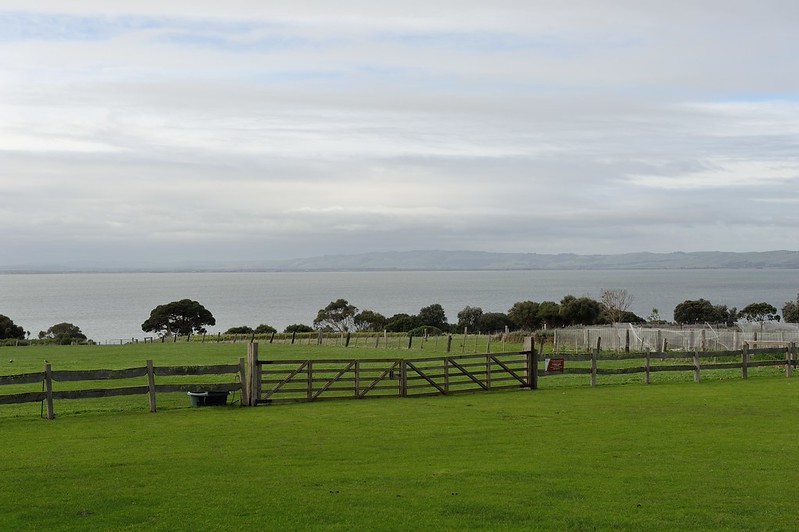 Churchill Island Heritage Farm