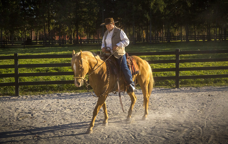 Paul Dietz and Golden Horse