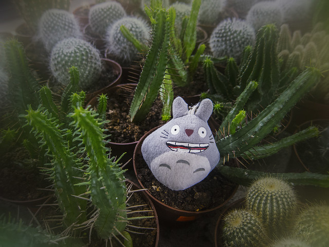 Day #328: totoro chooses cacti for his garden