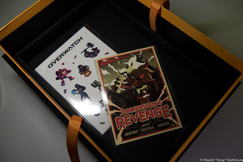 Blizzard Entertainment提供、『Overwatch』限定スペシャルボックスを1 
