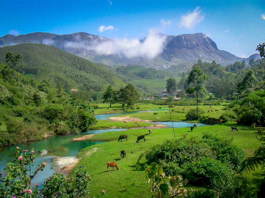 Best Time To Visit Munnar