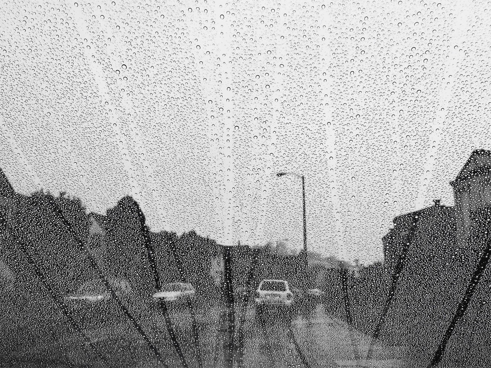 Rainy Wednesday | by catlucia