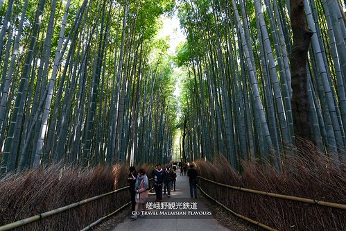 12 Things to Do in Arashiyama