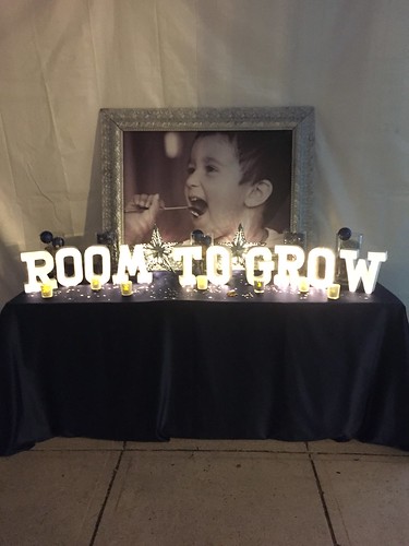 Room to Grow Gala (2)