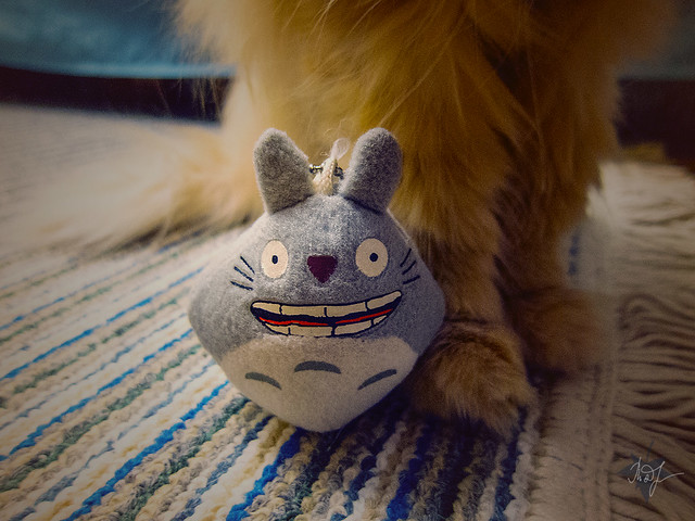 Day #283: totoro knows that the friendship is the most important thing in our life