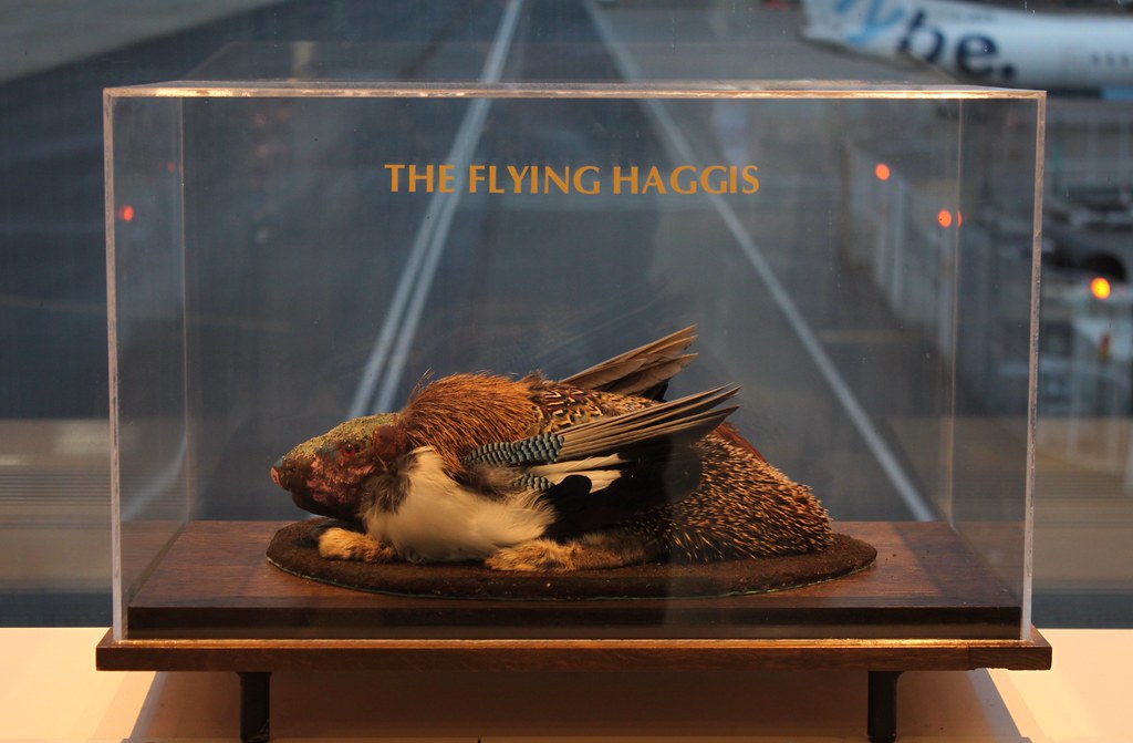 Image result for Flying Haggis images