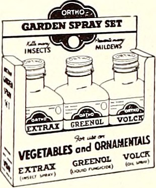 Image From Page 47 Of Catalog 1946 Magnolia Seeds Are G Flickr