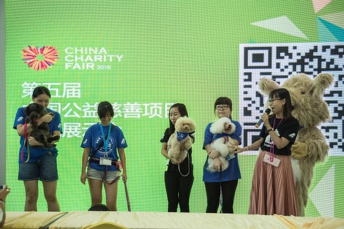 Animals Asia’s exhibit at China Charity Fair 3