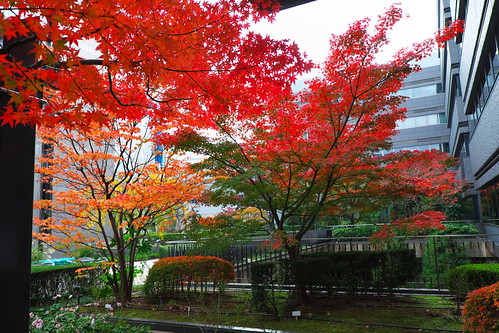 京都リサーチパーク