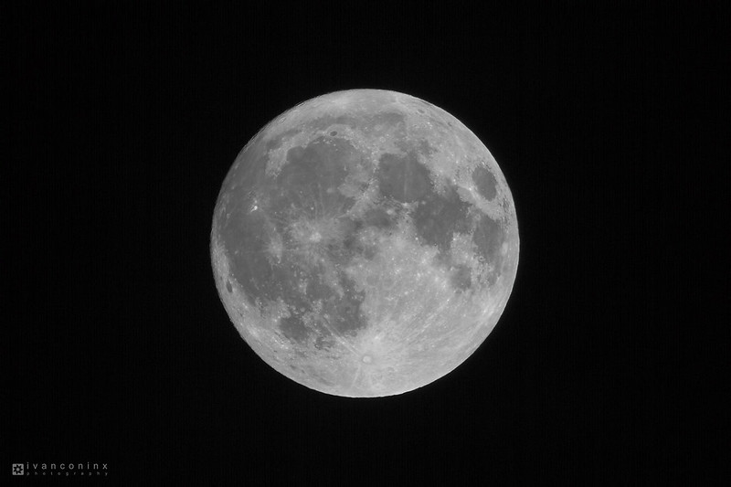 Moon – Mechelen – 2016 10 15 – 01 – Copyright © 2016 Ivan Coninx