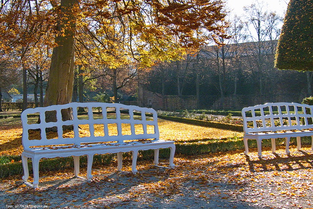 Hofgarten Herbst