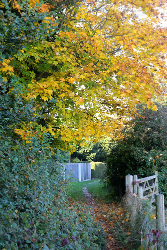 An autumnal walk to Windy Ridge