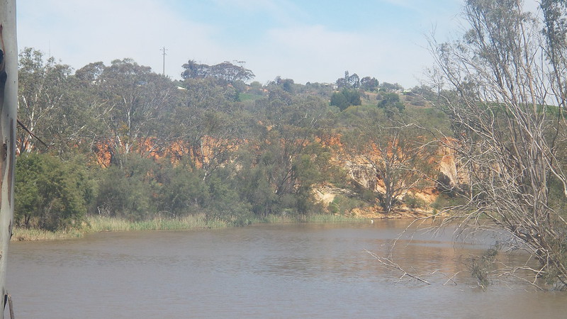 Murray River at Renmark