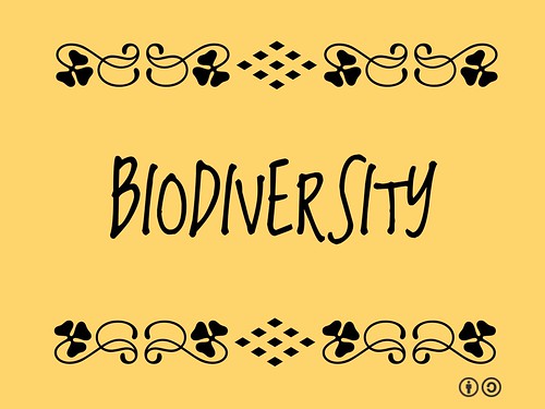 Buzzword Bingo: Biodiversity