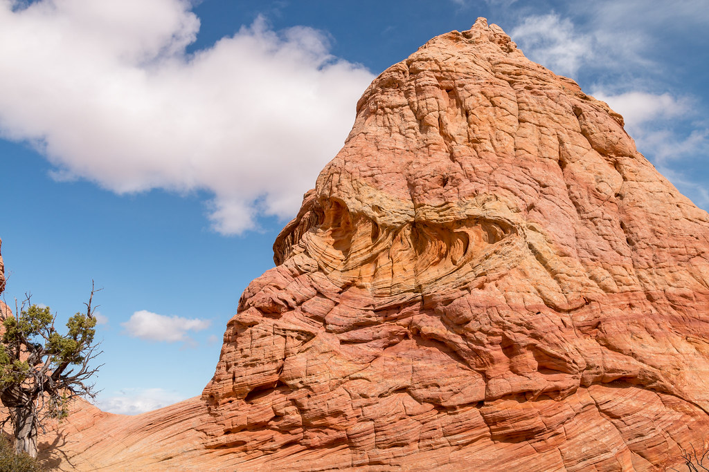 Cottonwood Teepees, Coyote Buttes South, Arizona