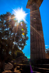 Sun glare at Temple of Zeus, Olympia