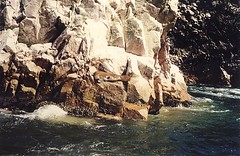 seal rocks