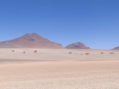 Bolivia - Vulcano Nationl Parc