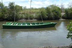 Tourist Boat Caroni River