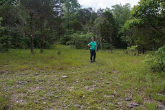 Gattinger's Cedar Glade and Barrens