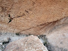 Megaliths in Baalbek quarry_10168
