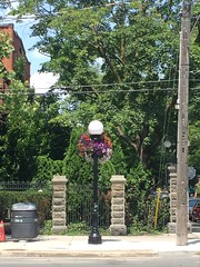 College St lamp post at Palmerston Blvd