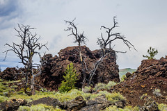 Craters of the Moon National Monument, Idaho-3507
