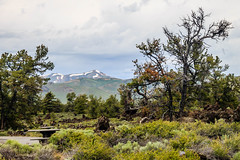 Craters of the Moon National Monument, Idaho-3501