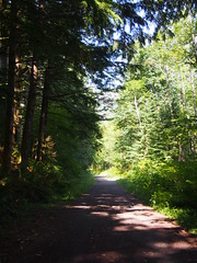 Palouse to Cascades Trail