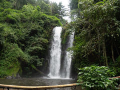 Marangu Falls Kinukamori
