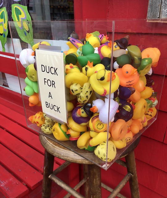 Duck for a Buck