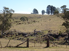 Gate to Dry Creek