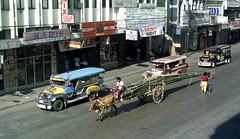00725 07-02-1986 8603 03 00116A Bullock & cart with Bamboo & Jeepneys A B Fernandez Avenue, Dagupan, Pangasinan, Philippines.