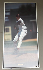 Carl Pavano Wall Picture
