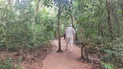 Iguaçu Parque Das Aves