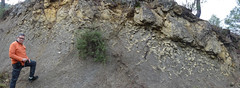 Burrows (Thalassinoides sp.) - Formación Cuevas Labradas (Lias) - Arroyofrío, Jurisdicción de Dehesa de Santiago (Albacete, España) - 01