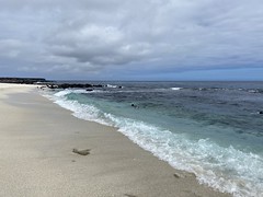 Beach and Snorkeling, Mosquera Islet, the Galápagos Islands, Ecuador.