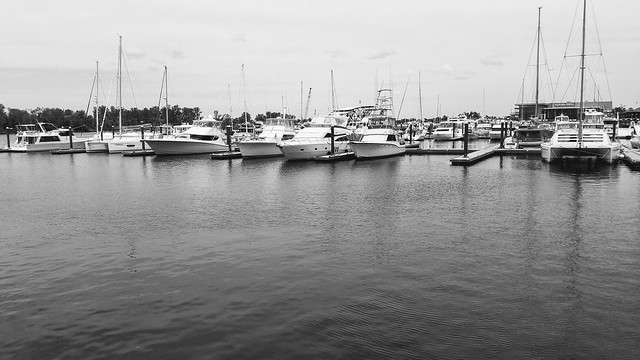 Wilmington Marina