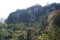 Paparoa National Park