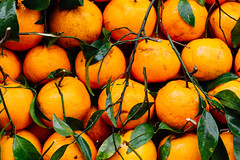 Pakistani Oranges, Wazirabad Pakistan