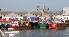 Fishing Boats Brixham