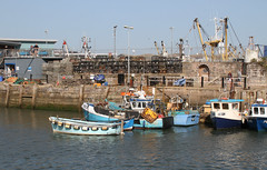 Brixham Harbour 4