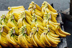 Rows of Bananas, Kingston Jamaica