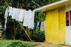 Yellow House & Laundry, Mooretown Jamaica